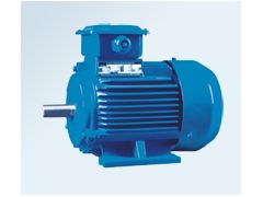 1493873931106092.jpg YY2三相異步電動機.jpg